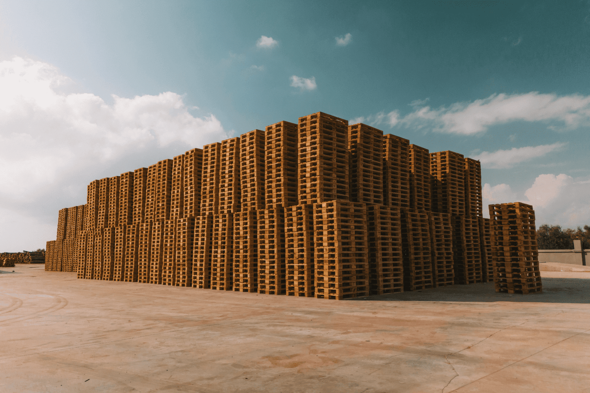 turkiye palet ana banner